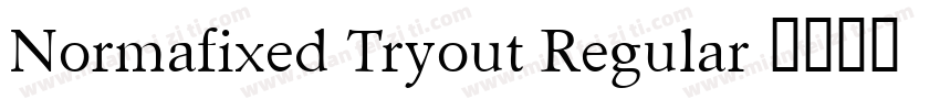 Normafixed Tryout Regular字体转换